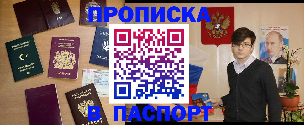 прописка 2025 в Волосово